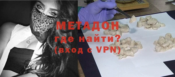 хмурый Аркадак