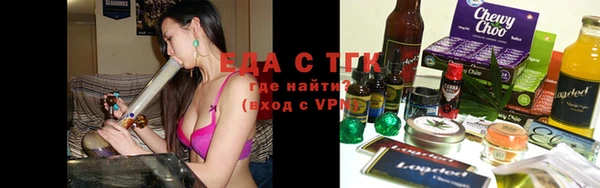 хмурый Аркадак