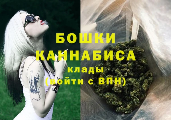 хмурый Аркадак