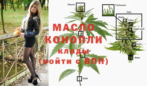 стафф Арсеньев
