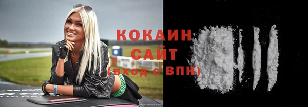 стафф Арсеньев