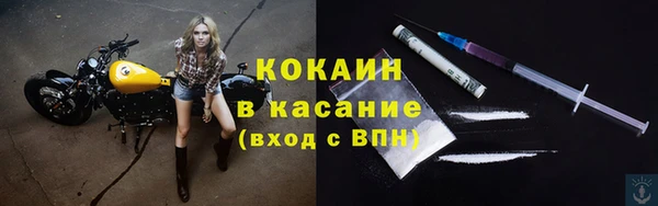 стафф Арсеньев