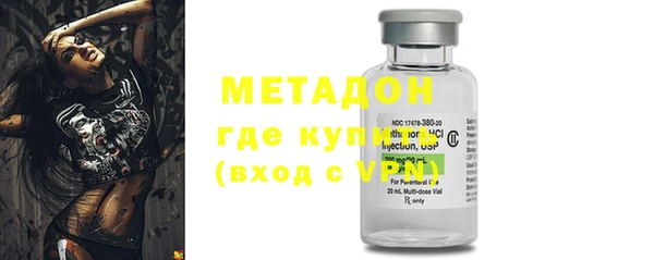 хмурый Аркадак