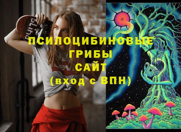 стафф Арсеньев