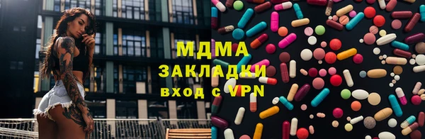 хмурый Аркадак