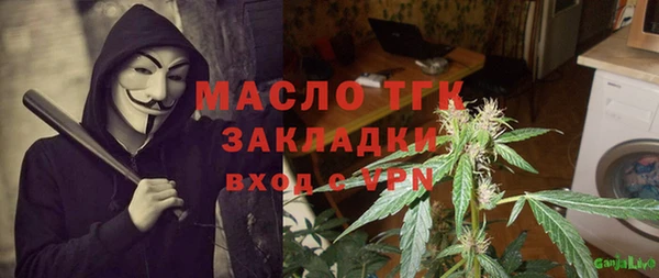 хмурый Аркадак